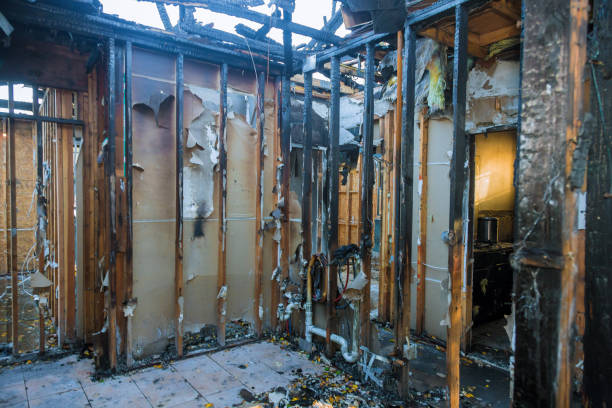 Professional Fire Damage Assessment technician working in Petersburg, AK